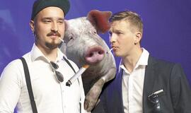 Sensacija! Žmonės kiaulių smegenimis