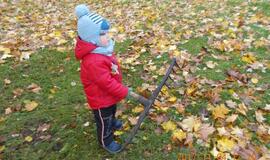 Klaipėdiečiai dalyvavo lapų grėbimo talkoje