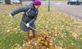 Klaipėdiečiai dalyvavo lapų grėbimo talkoje