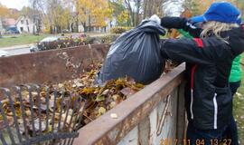 Klaipėdiečiai dalyvavo lapų grėbimo talkoje