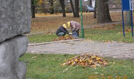 Klaipėdiečiai dalyvavo lapų grėbimo talkoje