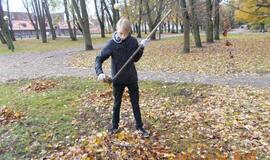 Klaipėdiečiai dalyvavo lapų grėbimo talkoje