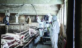 Filmo "Stebuklas" filmavimo užkulisiai