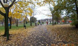 Klaipėdiečiai dalyvavo lapų grėbimo talkoje