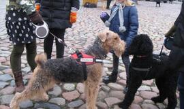 Klaipėdiečiai suvalgė apie 150 litrų maltiečių  sriubos