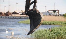 Reikšmingiausi 2017-ųjų nutikimai žuvies akimis