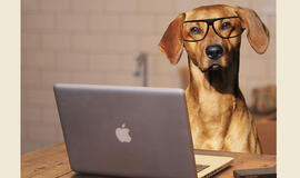 Ieškote darbo? Laisvos darbo vietos Klaipėdos regione