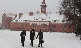 Klaipėdos universitetui į ateitį siūlo žvelgti versliai