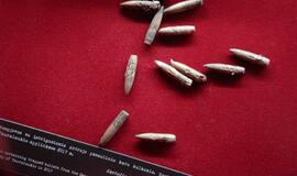 39/45: Mėmelio tragedija, Klaipėdos gimimas