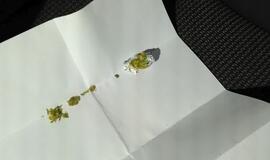 Savaitgalį pradėtas ne vienas tyrimas dėl narkotikų