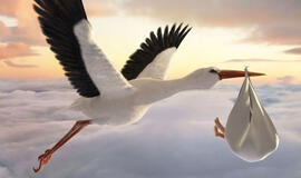 Šimtmečio vaikams - premijos ir dovanos