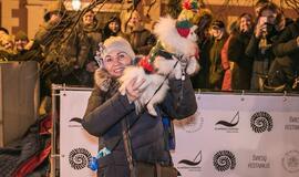 Šviečiančių augintinių paradas