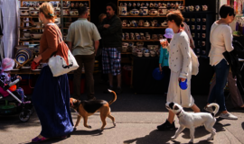 Prekybininką papiktino rinkliava Jūros šventėje
