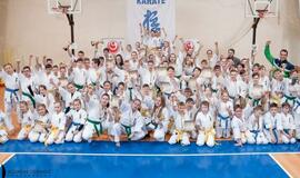 Lietuvos kata čempionate shodaniečiai iškovojo daugiausia medalių