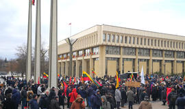 Prie Seimo mitingavo tūkstantinė minia