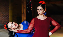 Klaipėdoje šokio spektaklis „Emocijos“