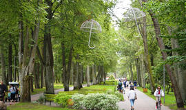 Palanga ruošiasi sezonui: sužydės 80 000 gėlių