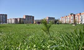 „Mogiliove" prisodino pušaičių