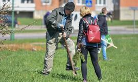 „Mogiliove" prisodino pušaičių