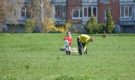 „Mogiliove" prisodino pušaičių