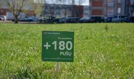 „Mogiliove" prisodino pušaičių