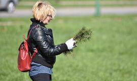 „Mogiliove" prisodino pušaičių