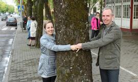 S.O.S. Šilutės medžiai