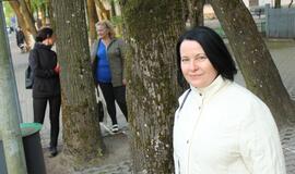 S.O.S. Šilutės medžiai