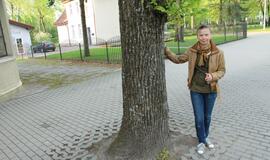 S.O.S. Šilutės medžiai