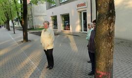 S.O.S. Šilutės medžiai