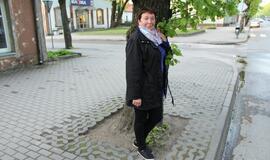 S.O.S. Šilutės medžiai