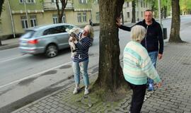 S.O.S. Šilutės medžiai