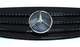 Sulaikytas automobilių groteles vogęs vyras