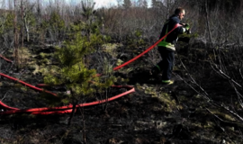 Ugniagesiai įspėja apie didėjantį miškų gaisringumą