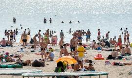 4 faktai apie bazaliomą