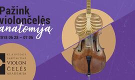 Klaipėdoje pirmąkart rengiama tarptautinė violončelės akademija