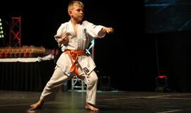 Karatė mokykla „Shodan“ atšventė 10 metų jubiliejų