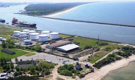 Šimtai hektarų miško dėl uosto nebus kertami