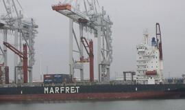 Statant išorinį Havro uostą įrengta sala paukščiams