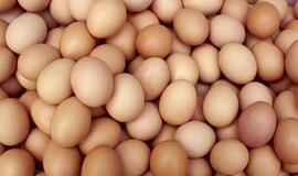 Kiaušinių pardavimas ir eksportas augo, o kainos mažėjo