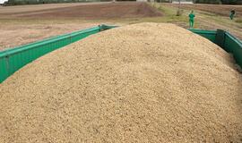 Lietuviškus grūdus nuo šiol bus galima parduoti ir Bangladeše