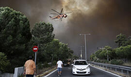 Miško gaisrų prie Atėnų aukų skaičius išaugo iki 50 žmonių