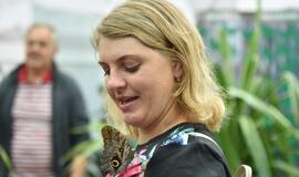 Atogrąžų drugeliams Smiltynėje sukūrė tropikus