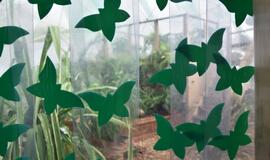 Atogrąžų drugeliams Smiltynėje sukūrė tropikus