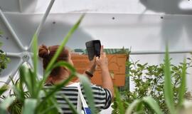 Atogrąžų drugeliams Smiltynėje sukūrė tropikus