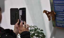 Atogrąžų drugeliams Smiltynėje sukūrė tropikus