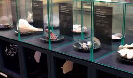 Klaipėdos „Akropolyje“ Jūrų muziejus kviečia aplankyti.... Jūros stalą