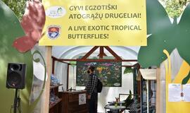 Atogrąžų drugeliams Smiltynėje sukūrė tropikus