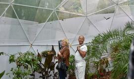 Atogrąžų drugeliams Smiltynėje sukūrė tropikus