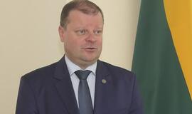 Saulius Skvernelis apie savo atostogas: tai nebuvo priekaištas